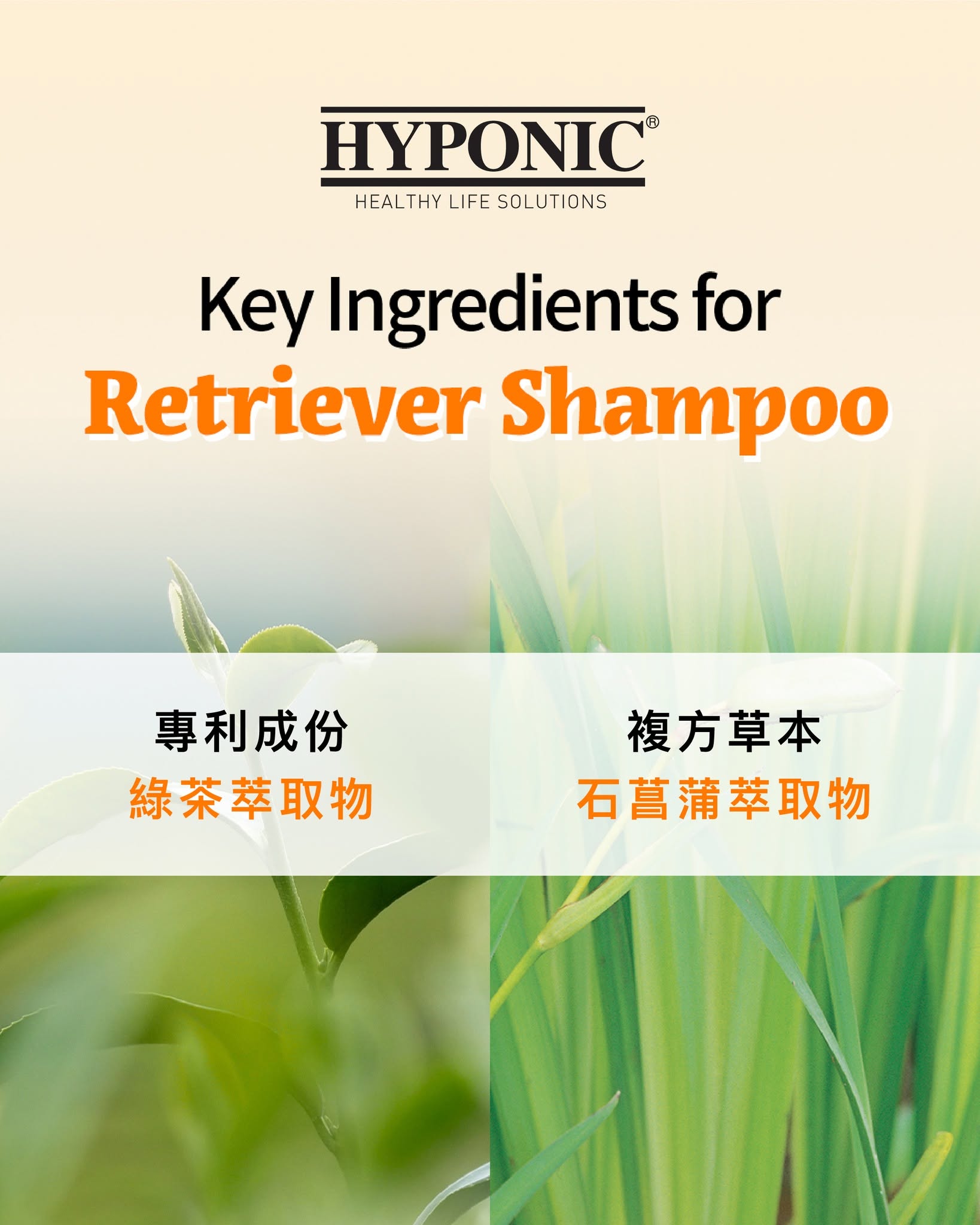 HYPONIC 獵犬專用洗毛精 1500ml 商品圖文 3